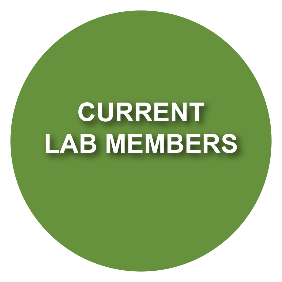 current lab members