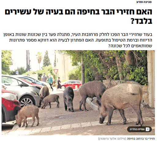 כתבה של ערן